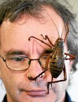 cele-mai-mari-insecte-din-lume-08